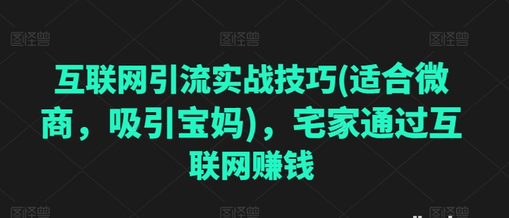 互联网引流实战技巧(适合微商，吸引宝妈) 宅家通过互联网赚钱/forums-/archives/category/rjgj-/archives/category/gjx-/archives/category/wzzy-/spjxAI小栈