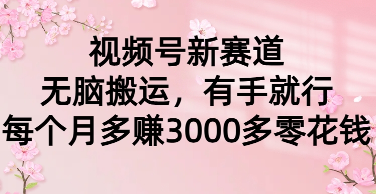 视频号新赛道，无脑搬运，有手就行，每个月多赚3000多零花钱/forums-/archives/category/rjgj-/archives/category/gjx-/archives/category/wzzy-/spjxAI小栈