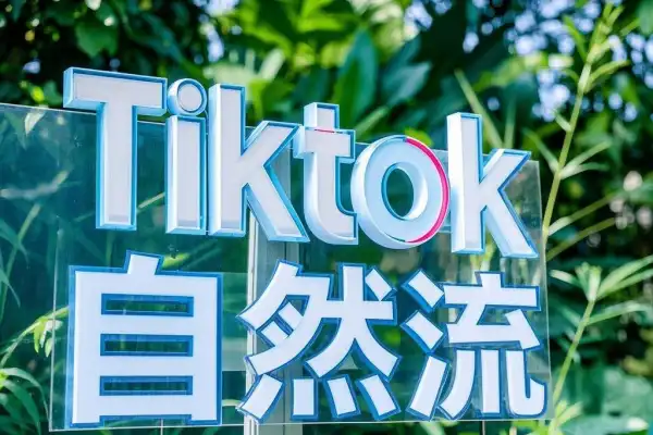 Tiktok自然流玩法视频爆产出几百上千单【飞书文档】/forums-/archives/category/rjgj-/archives/category/gjx-/archives/category/wzzy-/spjxAI小栈