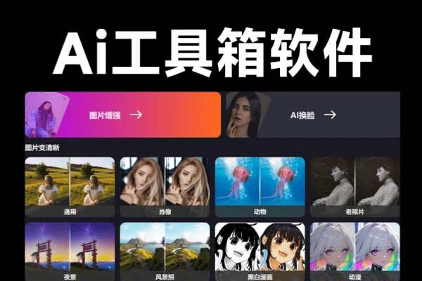 一键AI换脸图像变清晰老照片修复黑白照片上色【专属】/forums-/archives/category/rjgj-/archives/category/gjx-/archives/category/wzzy-/spjxAI小栈