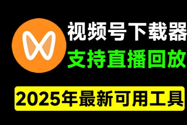 2025最新视频号下载器支持直播回放下载一键下载为MP4格式/forums-/archives/category/rjgj-/archives/category/gjx-/archives/category/wzzy-/spjxAI小栈